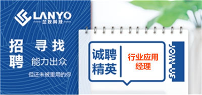 行业应用经理