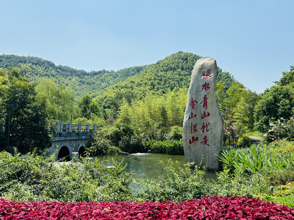 绿水青山.png